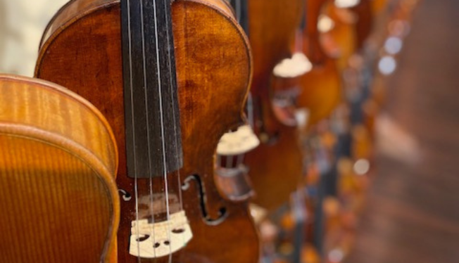 The Importance of Proper Violin Sizing for Every Player