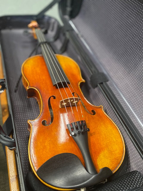 Musilia P1 Carbon Hybrid Violin Case