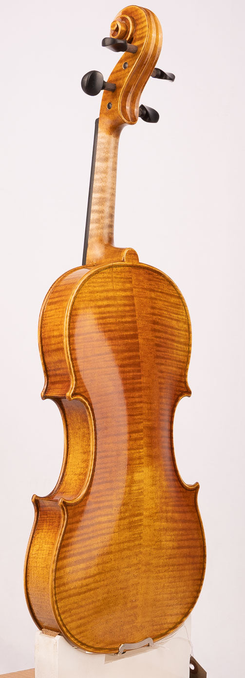 Advancing Violin Model V300