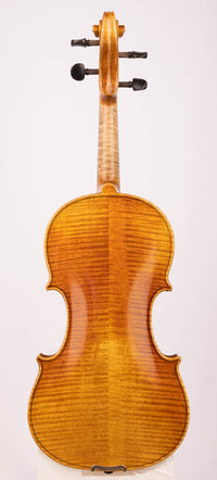 Advancing Violin Model V300