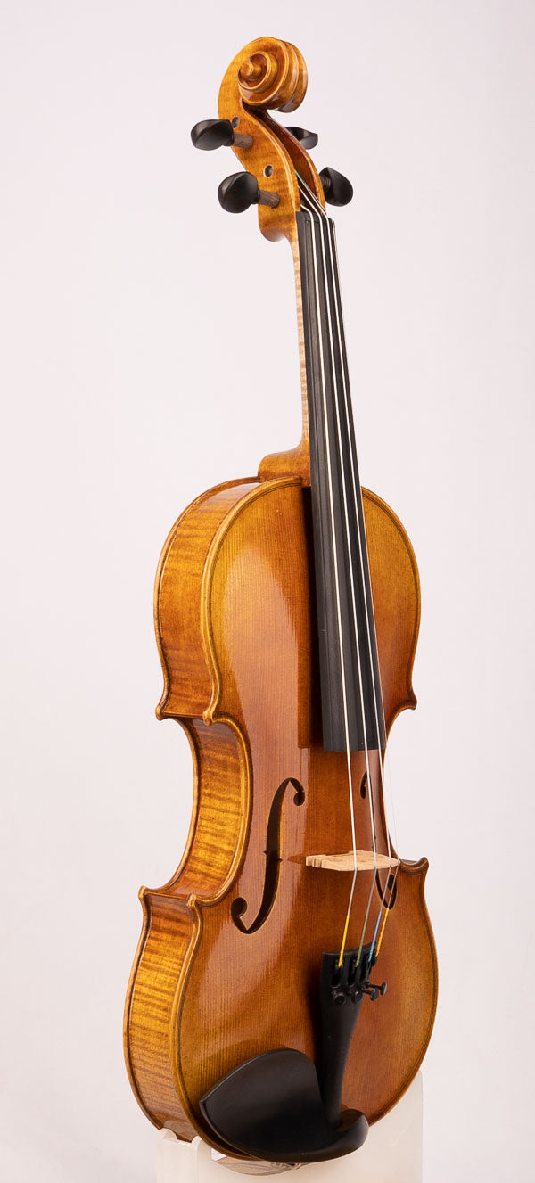 Advancing Violin Model V300