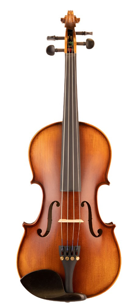 Beginner Violin Outfit Model V50