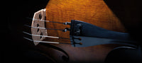 Thomastikinfeld Dominant Pro Viola String Set