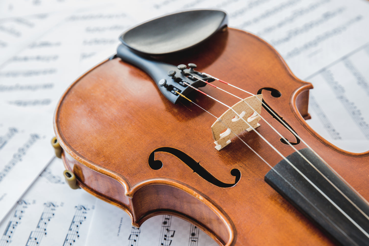 Violin Beginner Bundle TEST